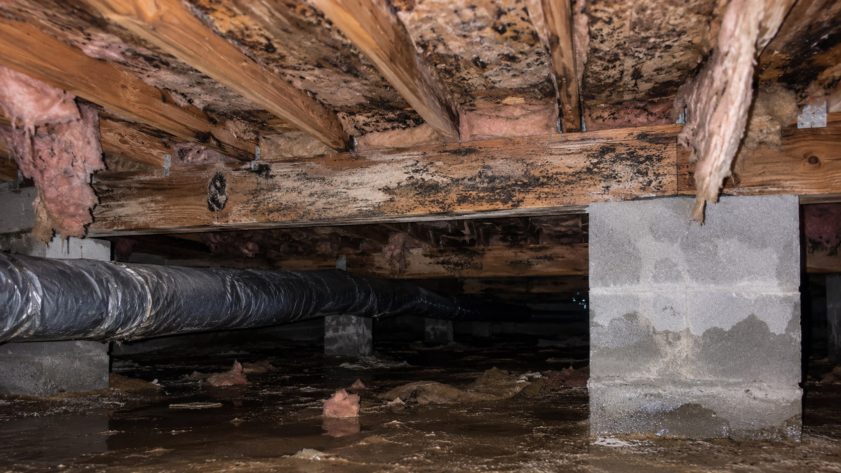 Damp crawl space with mold warning signs on wood framing and insulation in a Southeast Michigan home