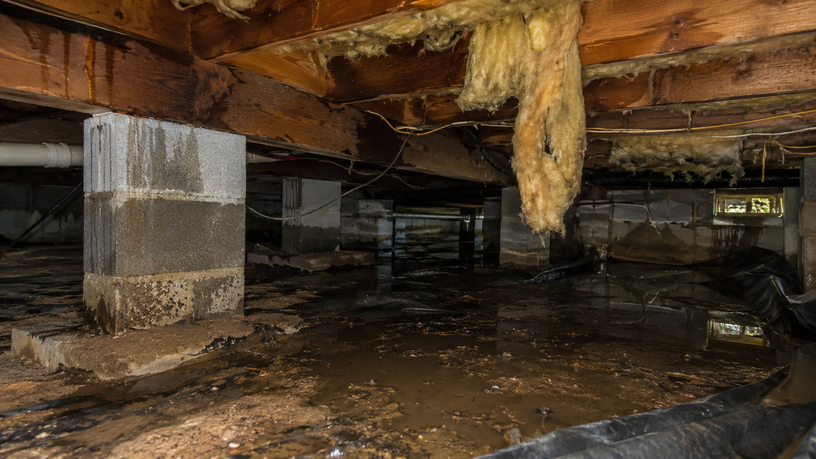 Damp crawl space with water staining and visible moisture issues in a Southeast Michigan home