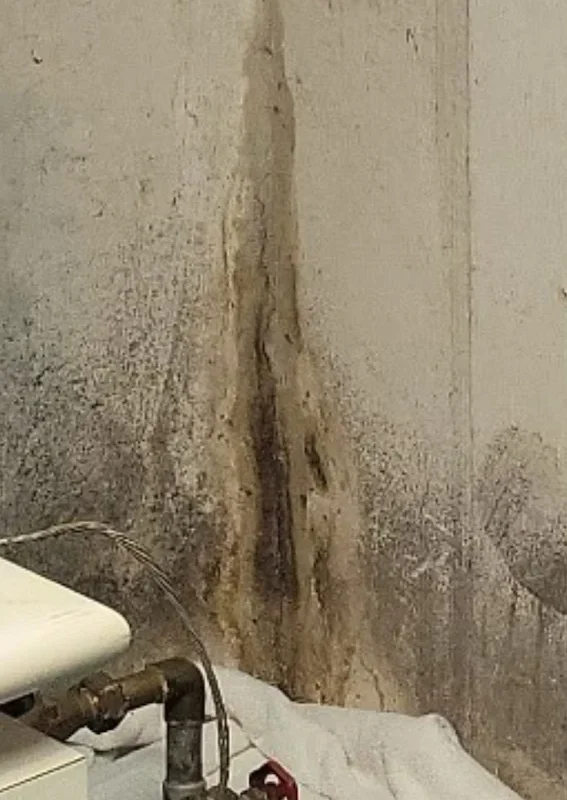 Do You Need Sump Pump Installation If You Already Have Exterior Waterproofing?
