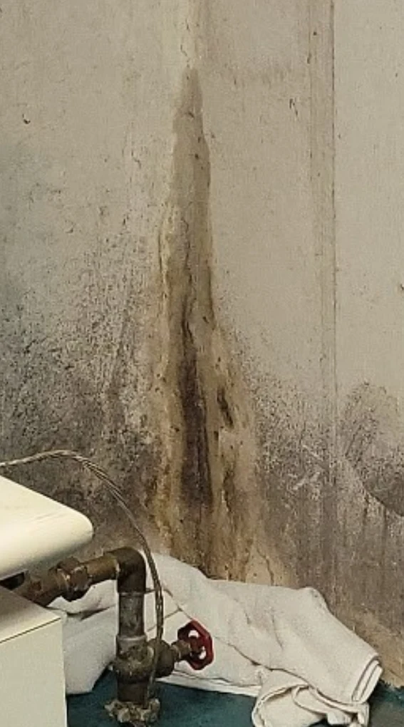 Do You Need Sump Pump Installation If You Already Have Exterior Waterproofing?