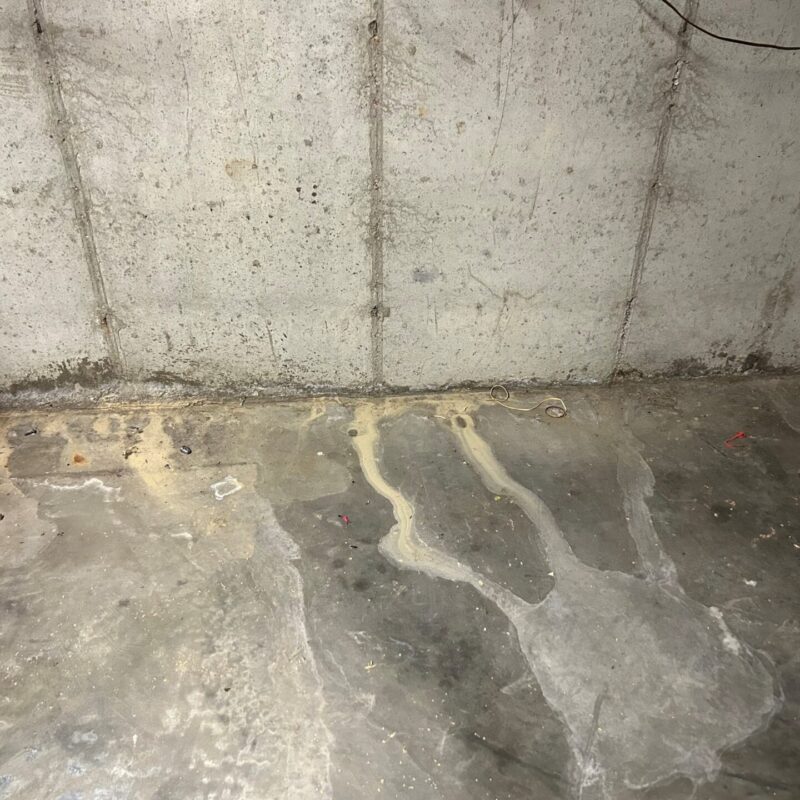 Why You Need Emergency Basement Waterproofing Services in Southeast Michigan