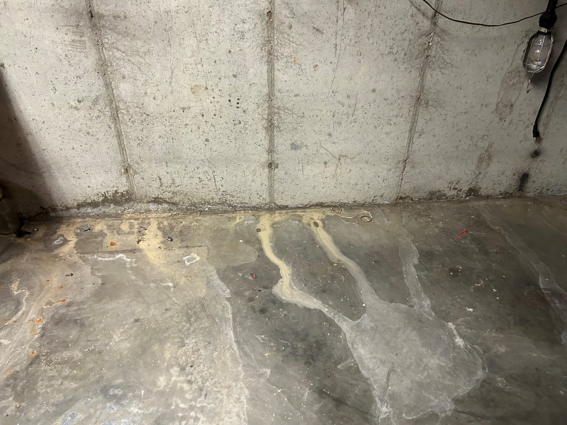 Why You Need Emergency Basement Waterproofing Services in Southeast Michigan