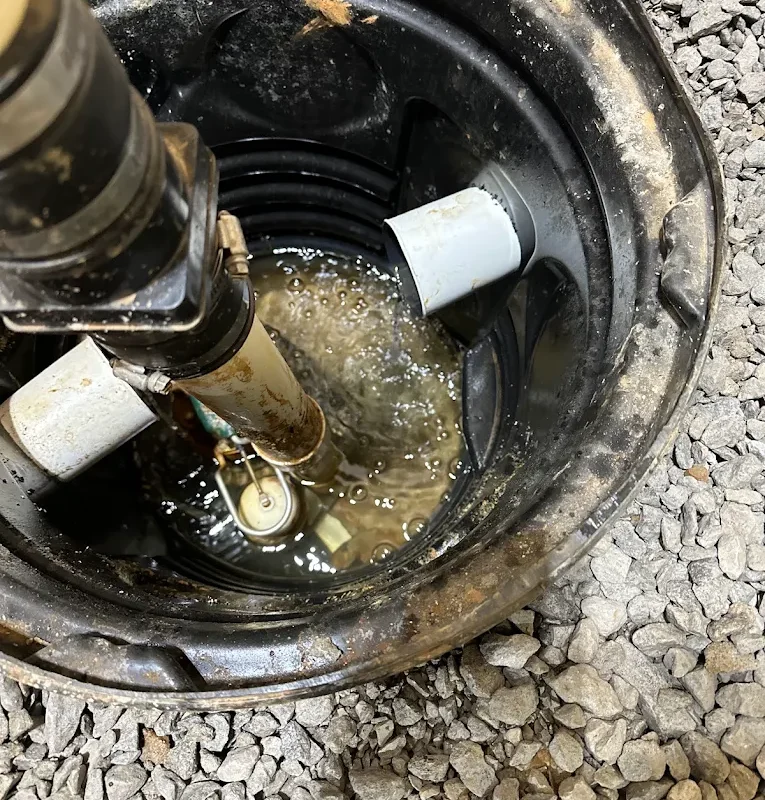 Water Damage Mitigation Critical