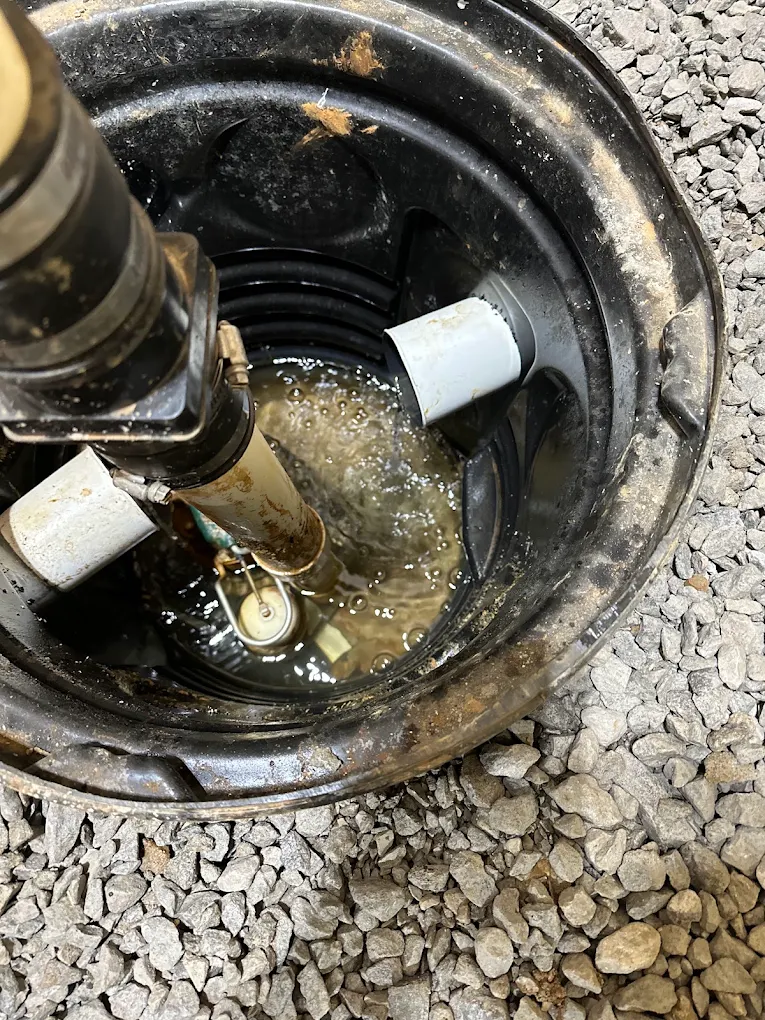 Why Is Immediate Water Damage Mitigation Critical?