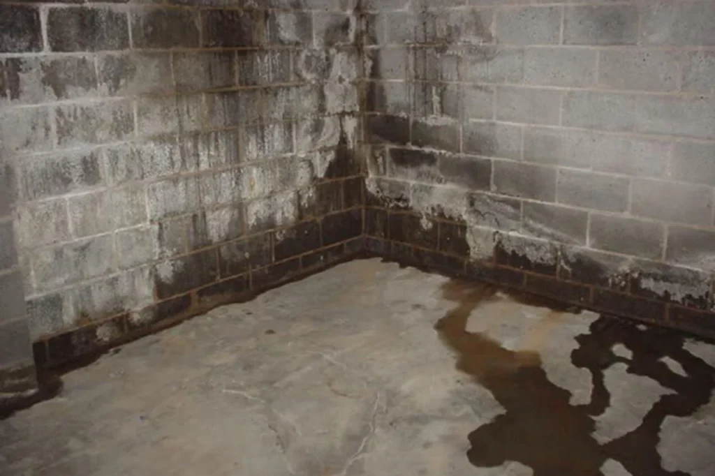 Learn what actually causes basement leaks, from hydrostatic pressure to foundation cracks, and what prevention and repair methods work permanently.