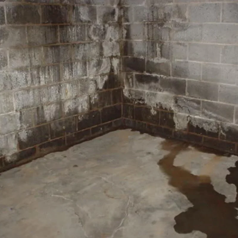 Learn what actually causes basement leaks, from hydrostatic pressure to foundation cracks, and what prevention and repair methods work permanently.