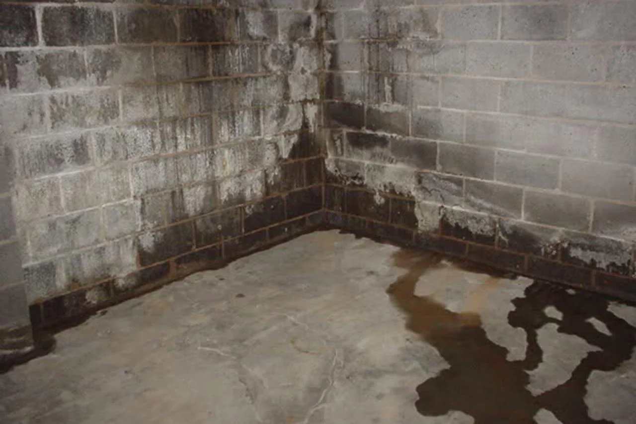 Basement Leak Causes and How to Prevent Them
