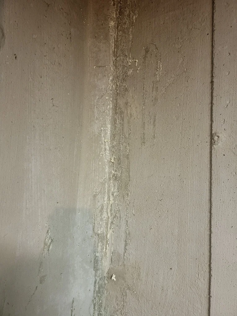 Signs of Water Damage in a Basement